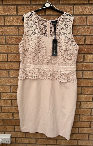 Bnwt phase eight - phase, lace